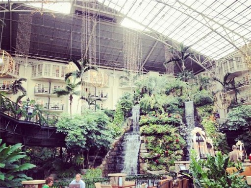 Winter Meetings2-512x384